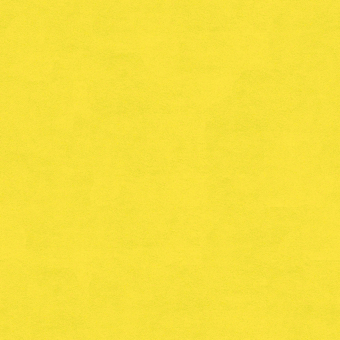 Izabella Metal Model Airplane Decor