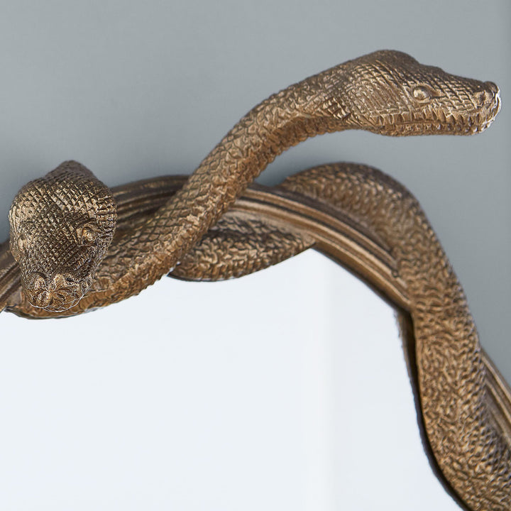 Wizarding World Nagini Mirror