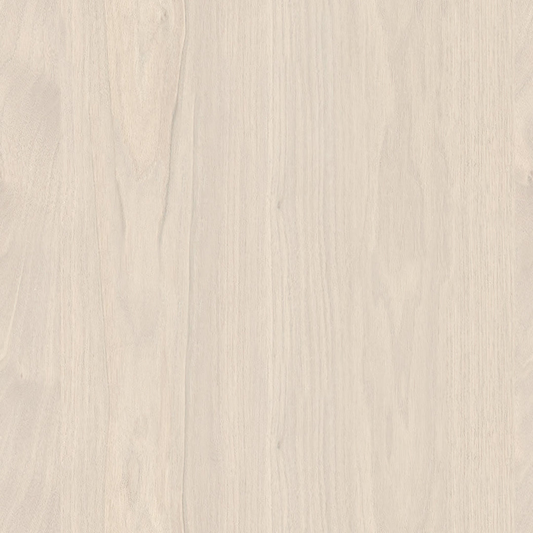 Delphine Entry Console