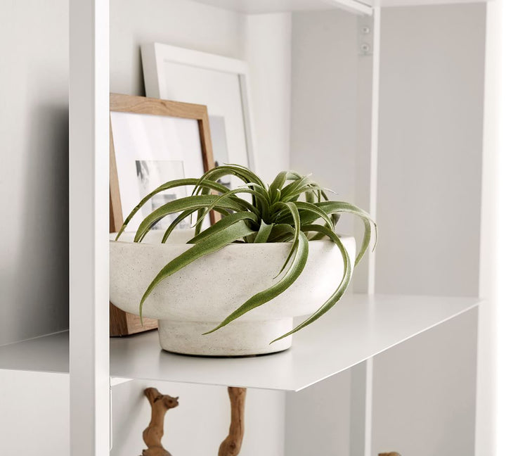 Faux Tillandsia Succulent Stem