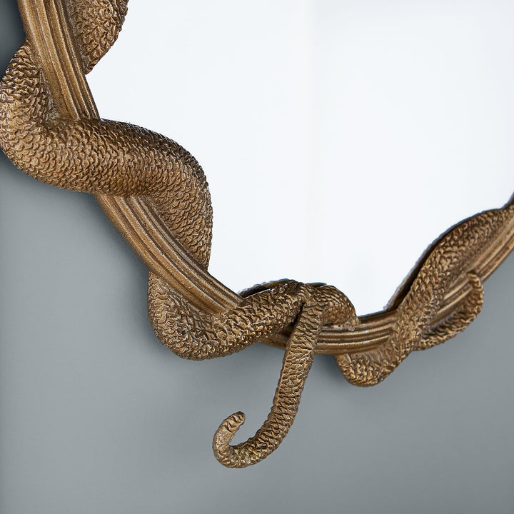 Wizarding World Nagini Mirror