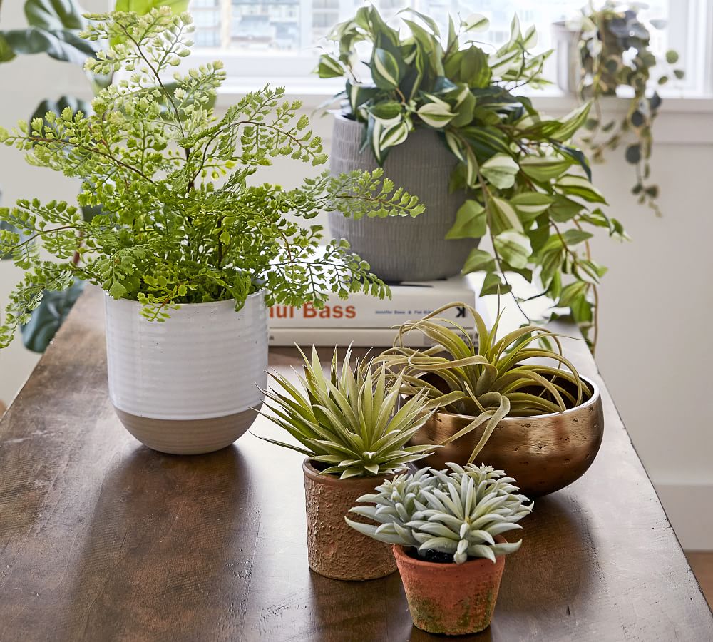 Faux Potted Maidenhair Fern