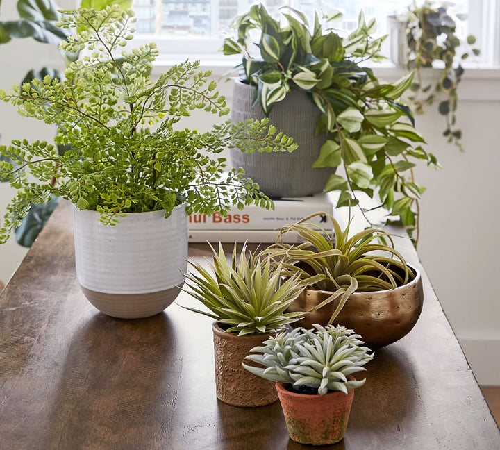 Faux Potted Maidenhair Fern