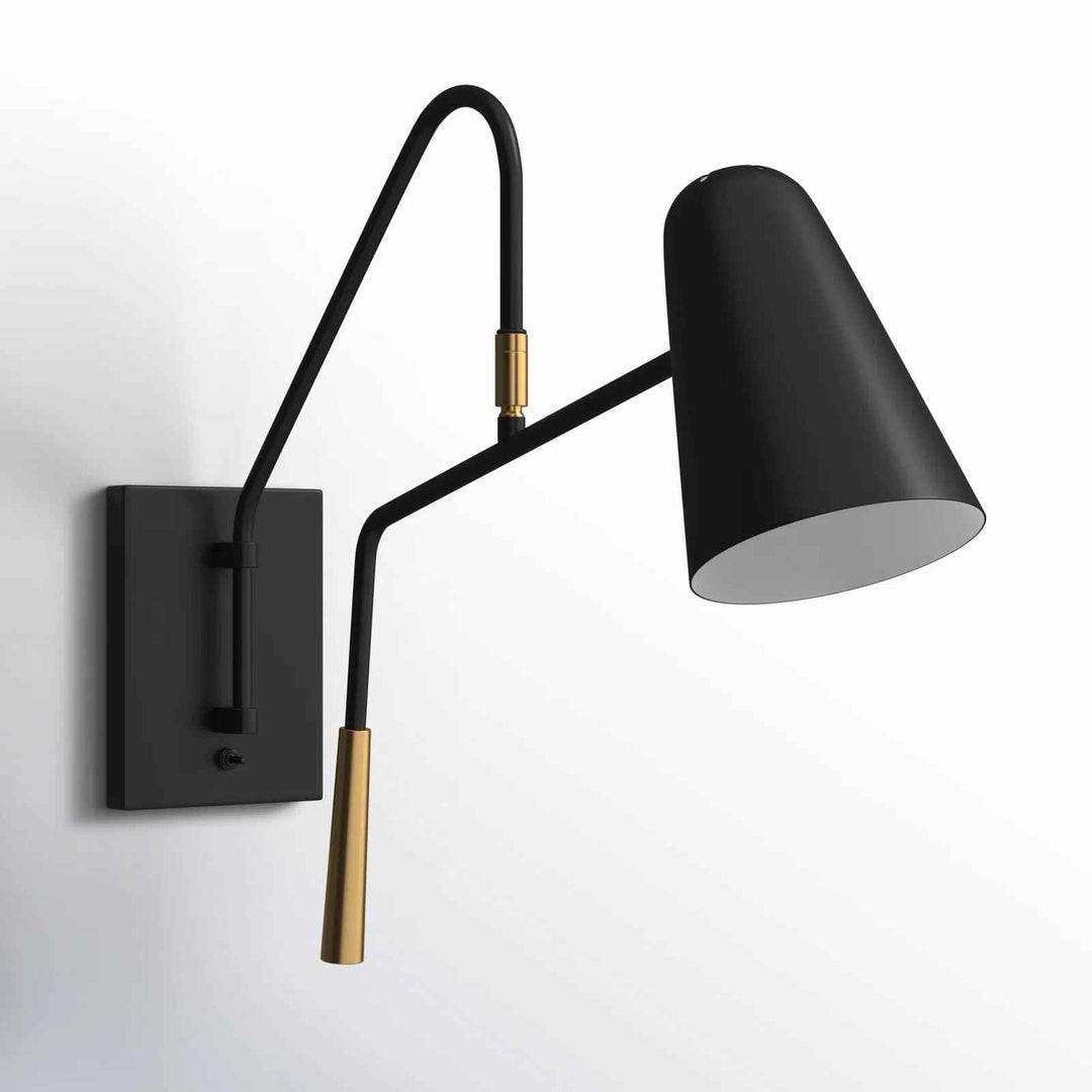 ED Ellen DeGeneres Simon 1 - Light Swing Arm