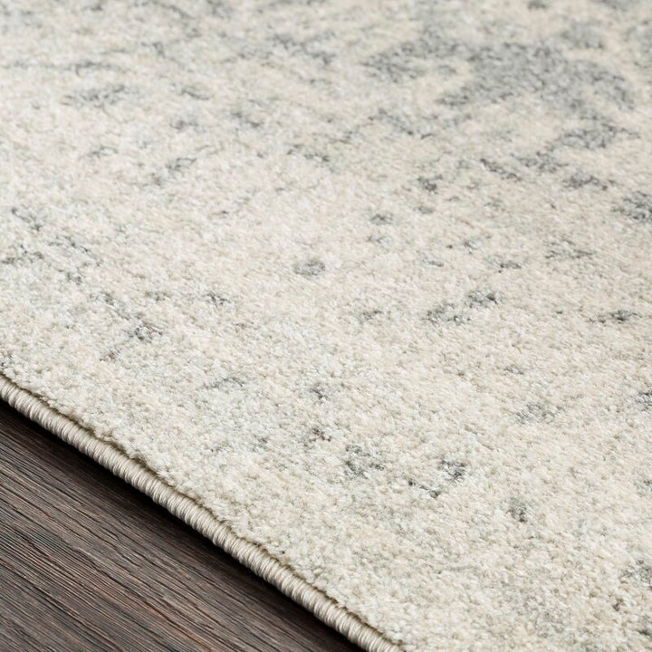 Hillsby Oriental Area Rug-10'x14'