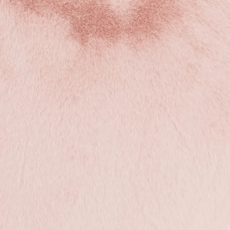 Luci Novelty Pillow Cover