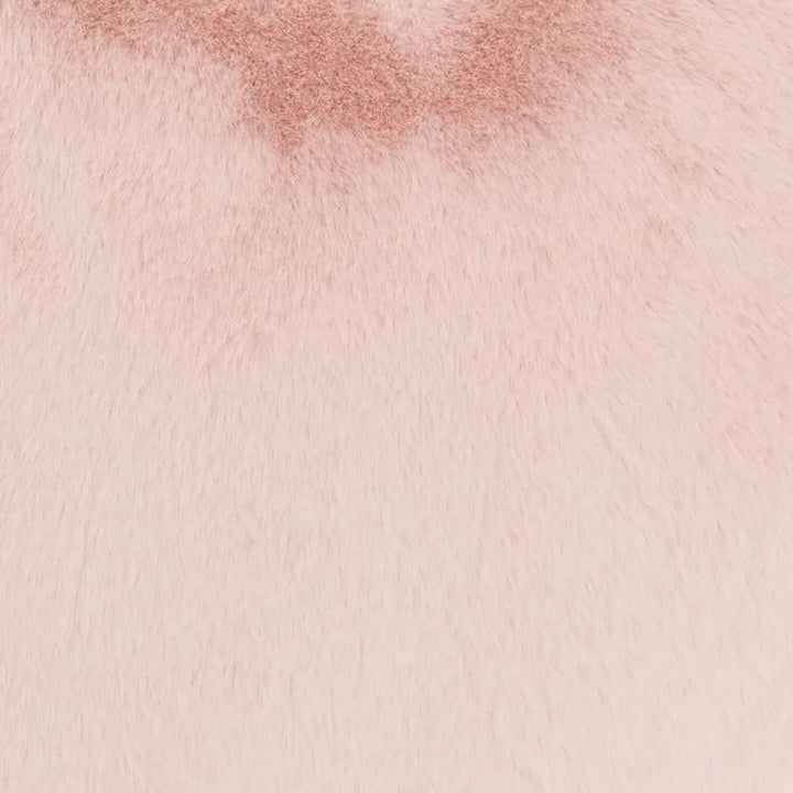 Luci Novelty Pillow Cover