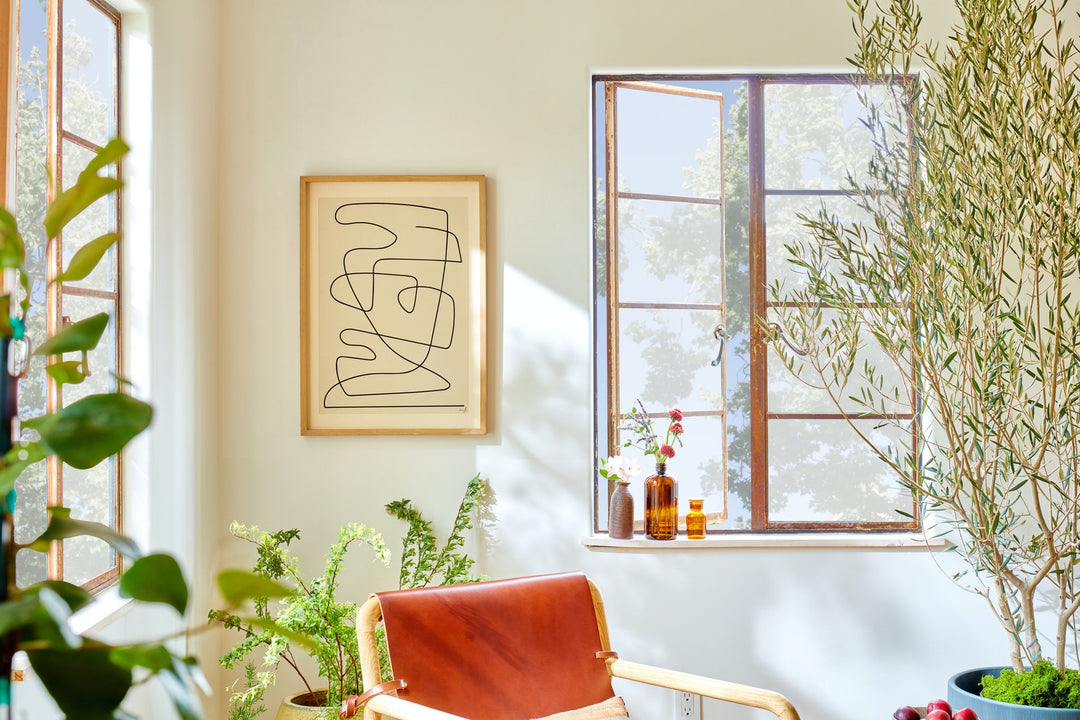 Coll Wall Art With Frame 19.5"x27.5"