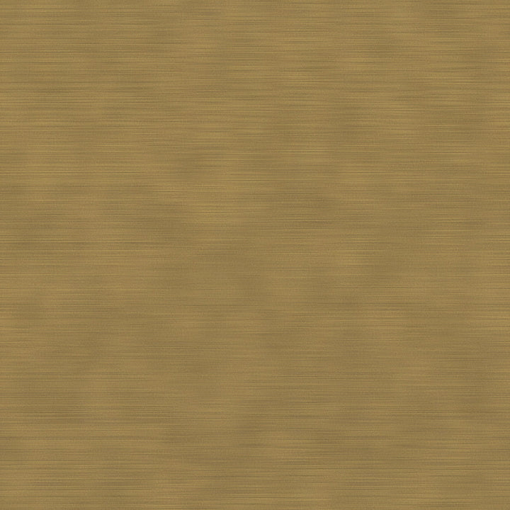 LED Art Display Sconce