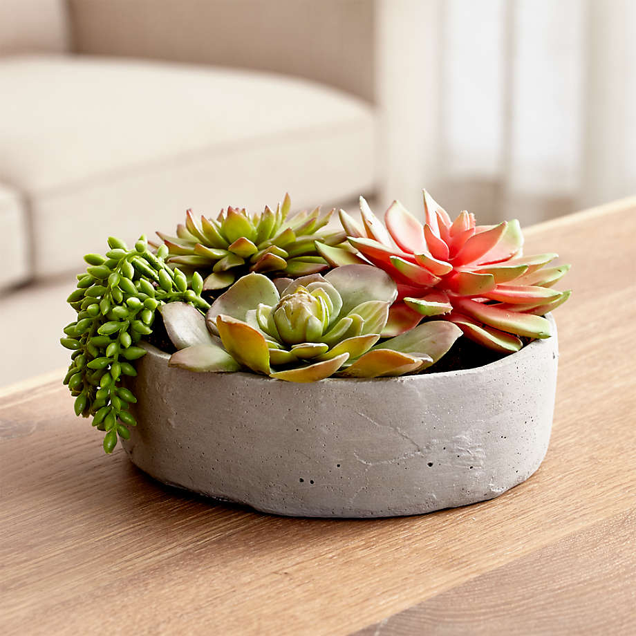 Artificial Succulents in Low Round Pot