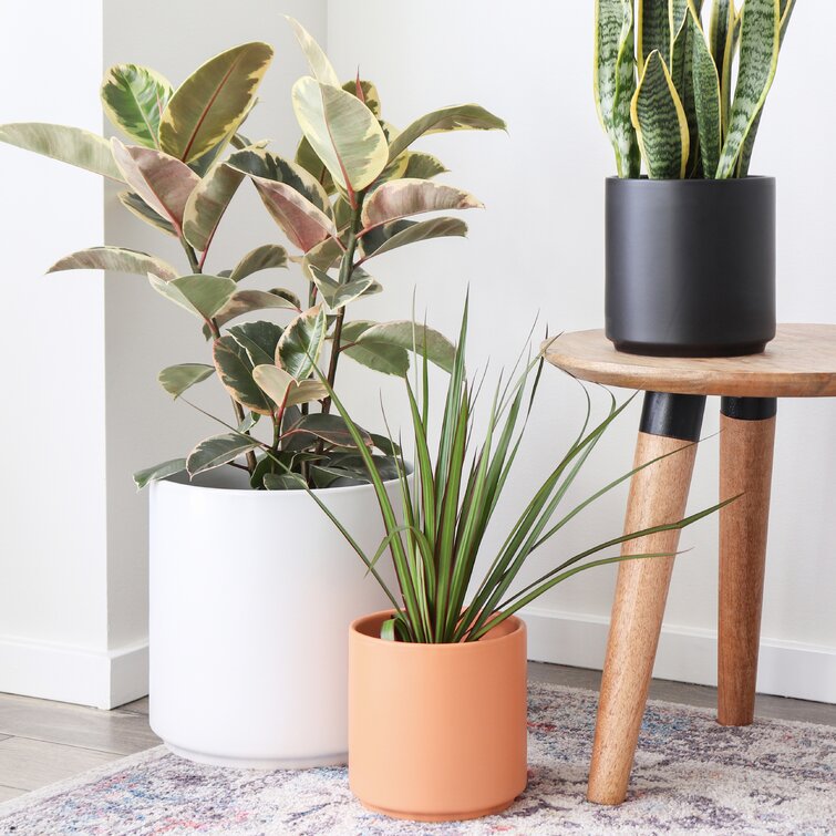 Porcelain Ceramic Pot Planter