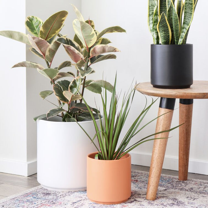 Porcelain Ceramic Pot Planter