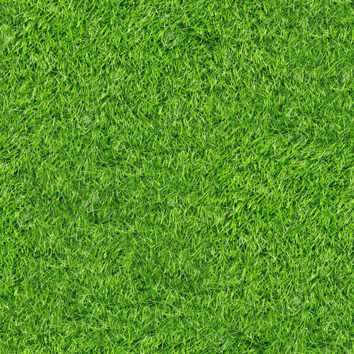 Artificial Grass Turf Rugs and Rolls-2'x8'