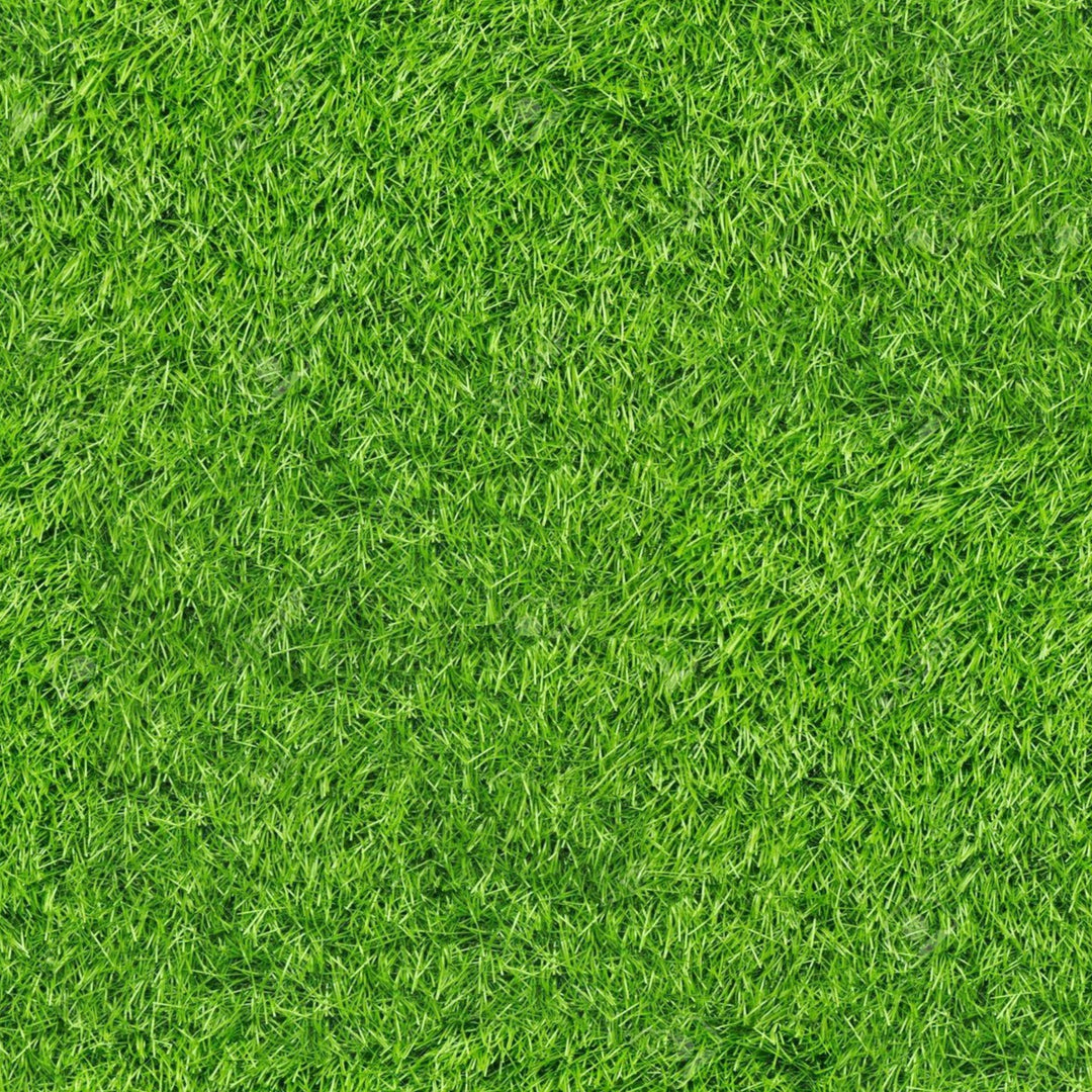 Artificial Grass Turf Rugs and Rolls-2'x8'