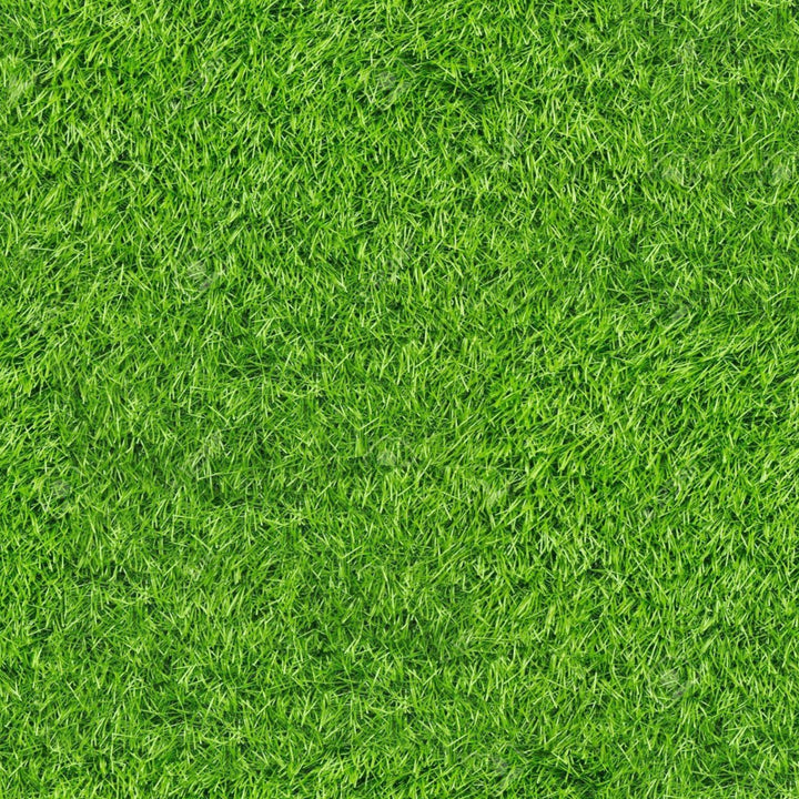 Artificial Grass Turf Rugs and Rolls-2'x8'