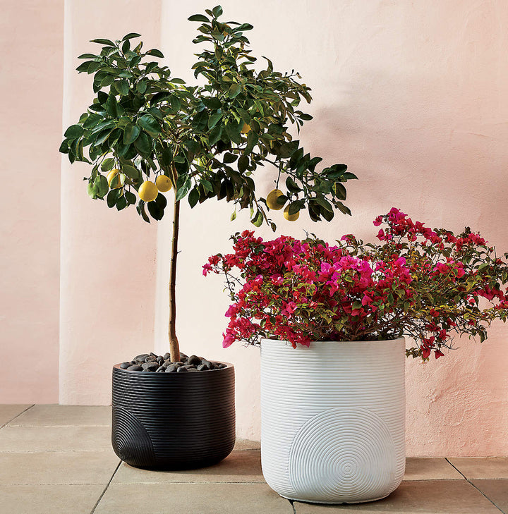 Zen Large White Planter