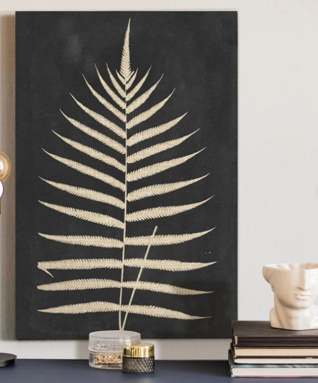 Linen Fern III Wrapped Canvas Print No Frame 16"x20"