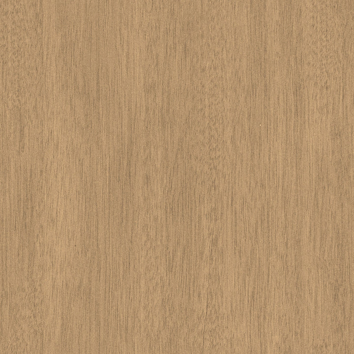 Blue Spendor Art work