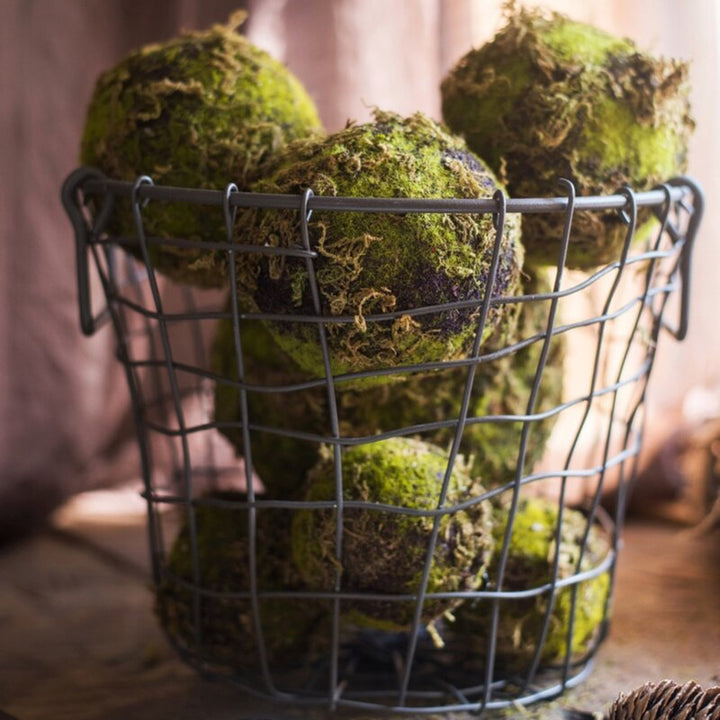 Everton Decorative Moss Ball