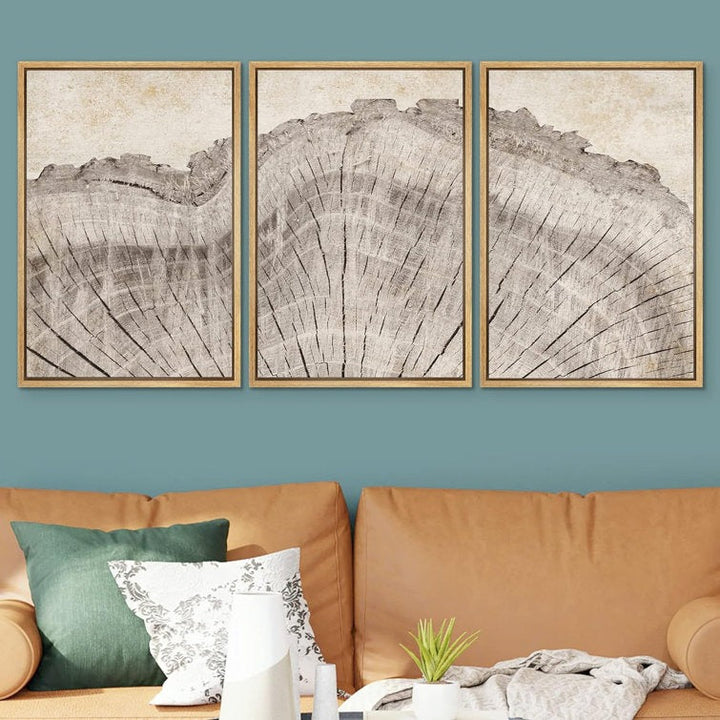 Tree Ring Rustic Oak Wood Farmhouse Decor Neutral Modern Organic Framed Canvas 3 Piece Print Art