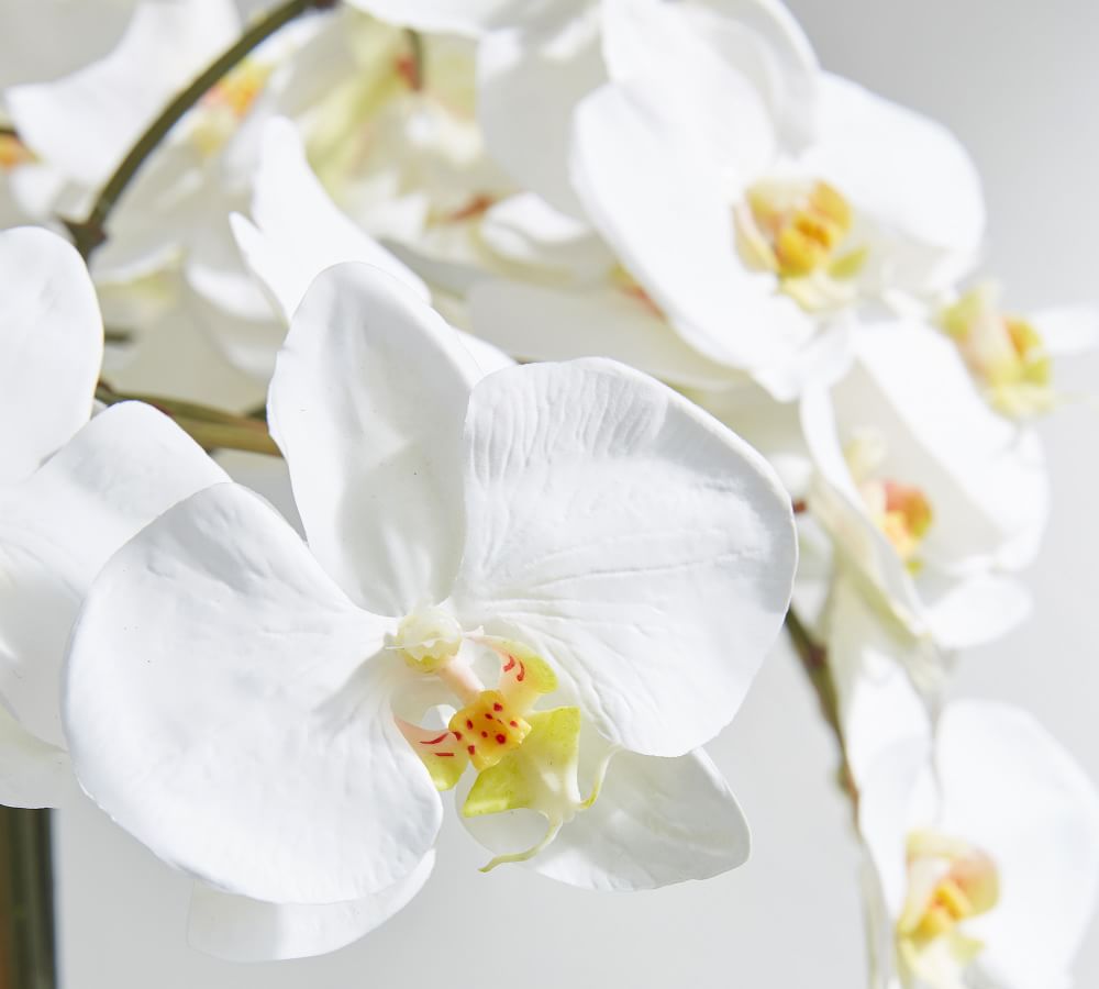 Faux Orchid in Rose Trellis Bowl