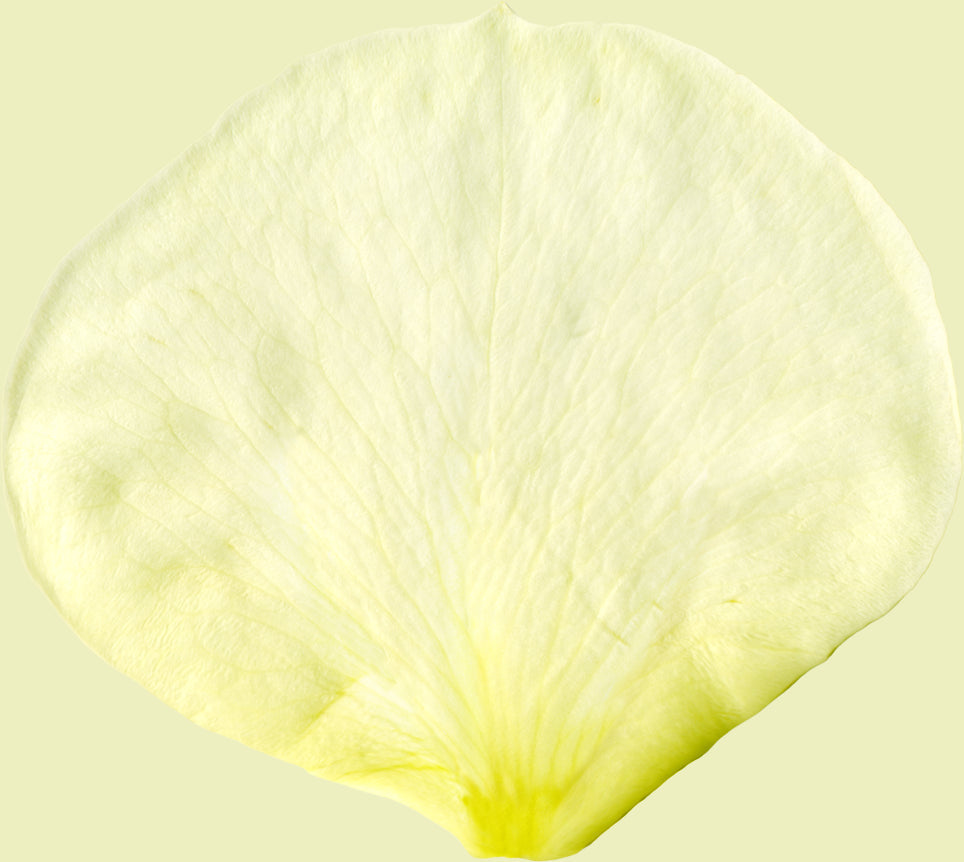 Mini Wild Flower Spray-Set of 4