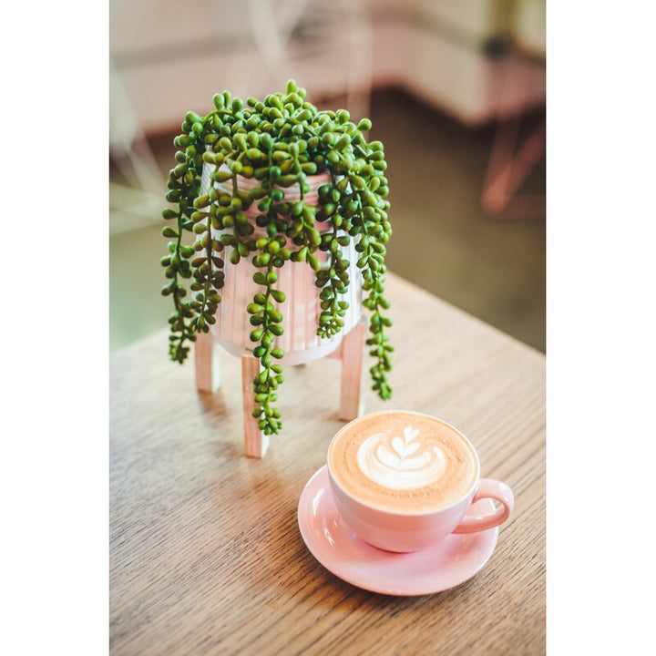 10" Artificial Succulent in Pot