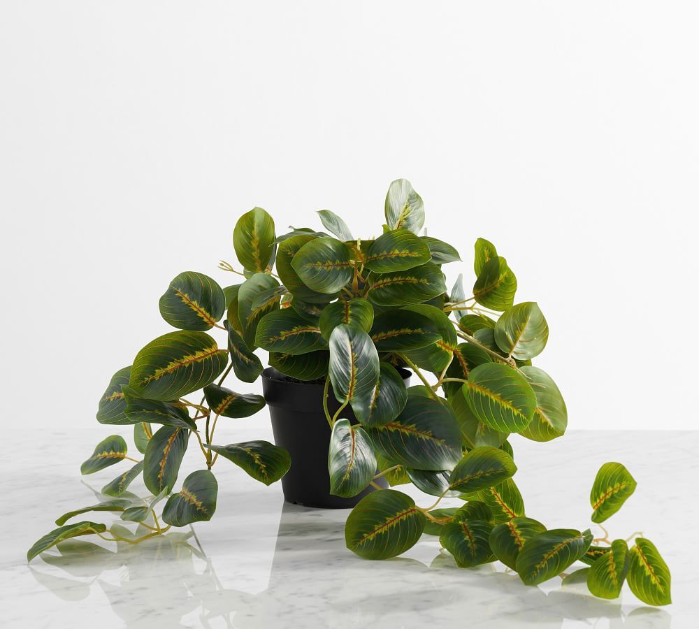 Faux Wandering Prayer Potted Houseplant