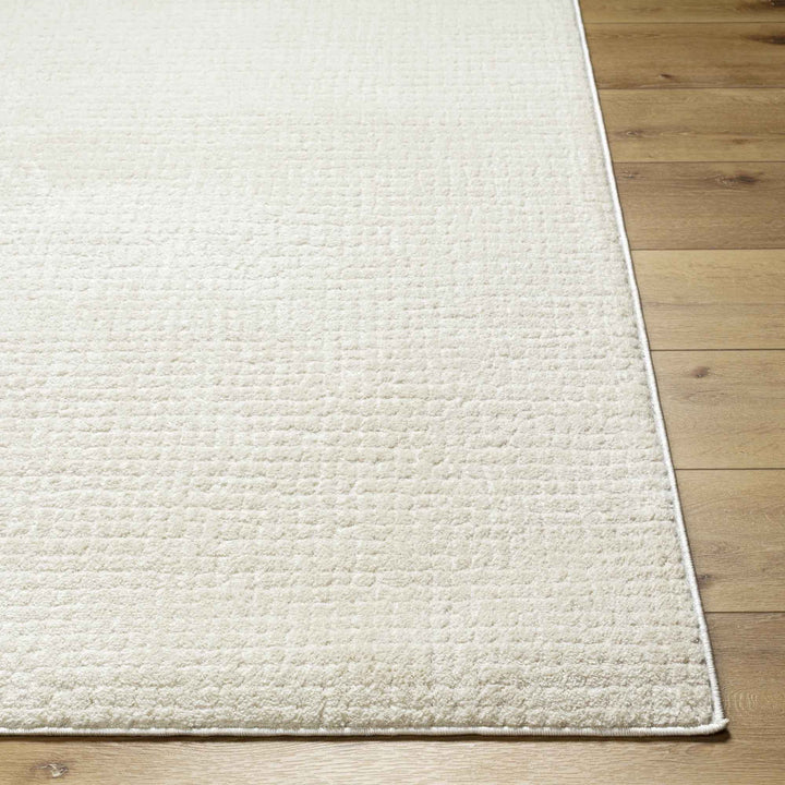 Arny Solid Color Rug-7'10x10'