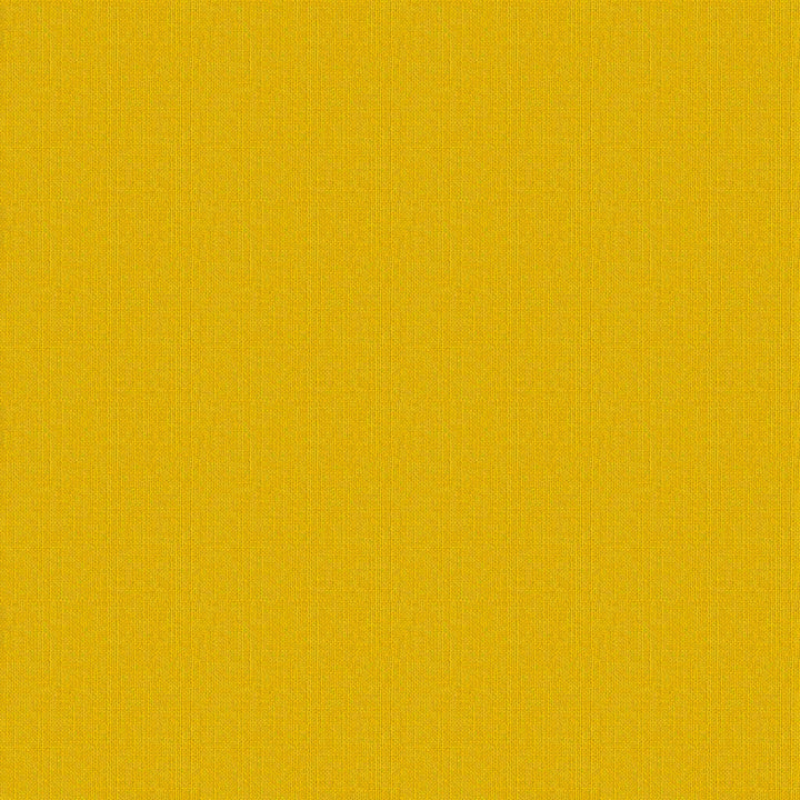 Colorblock Canvas Shower Curtain