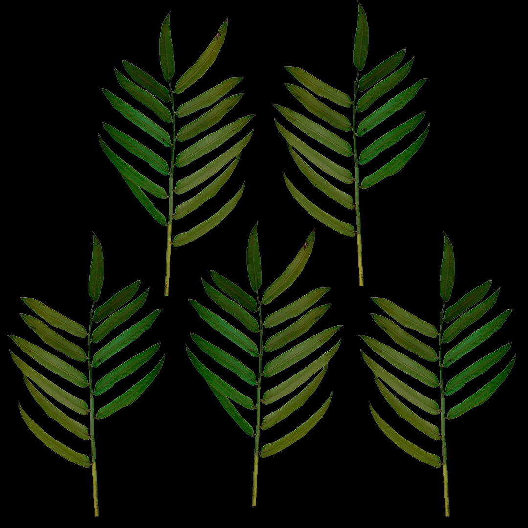 Faux Green Palm Plant Leaf Branch