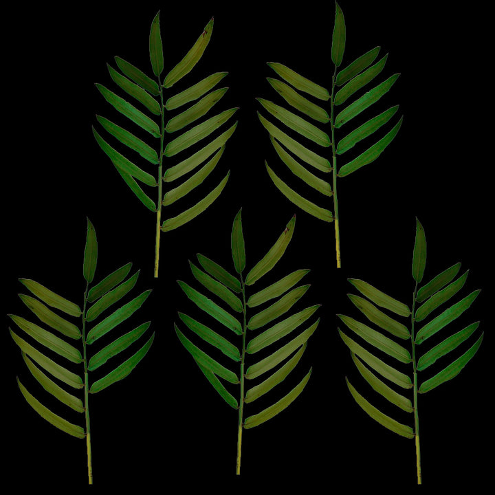 Faux Green Palm Plant Leaf Branch