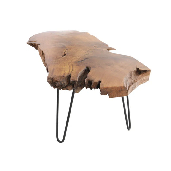 Holdridge Coffee Table