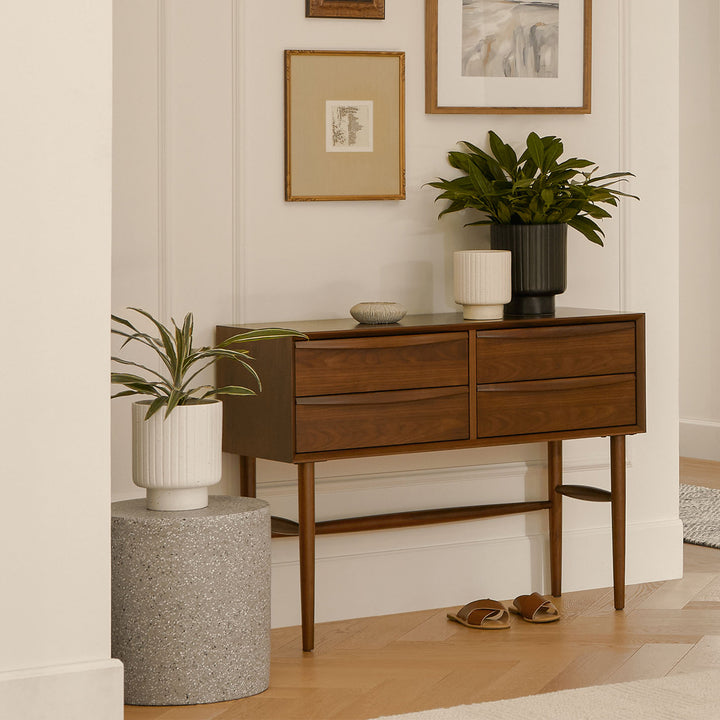Lenia Console