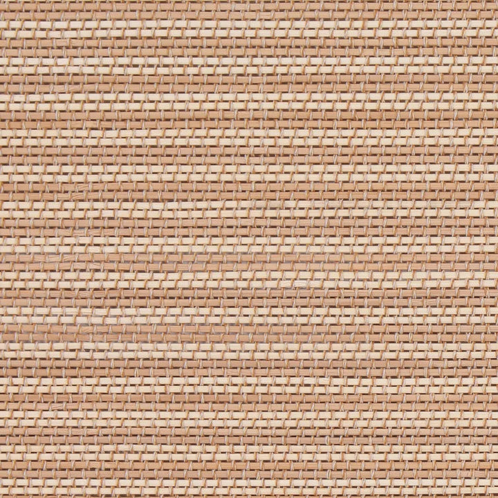 Rayon from Bamboo Cordless Room Darkening Roman Shade