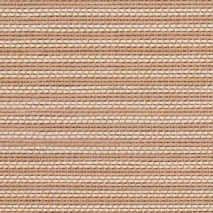 Rayon from Bamboo Cordless Room Darkening Roman Shade