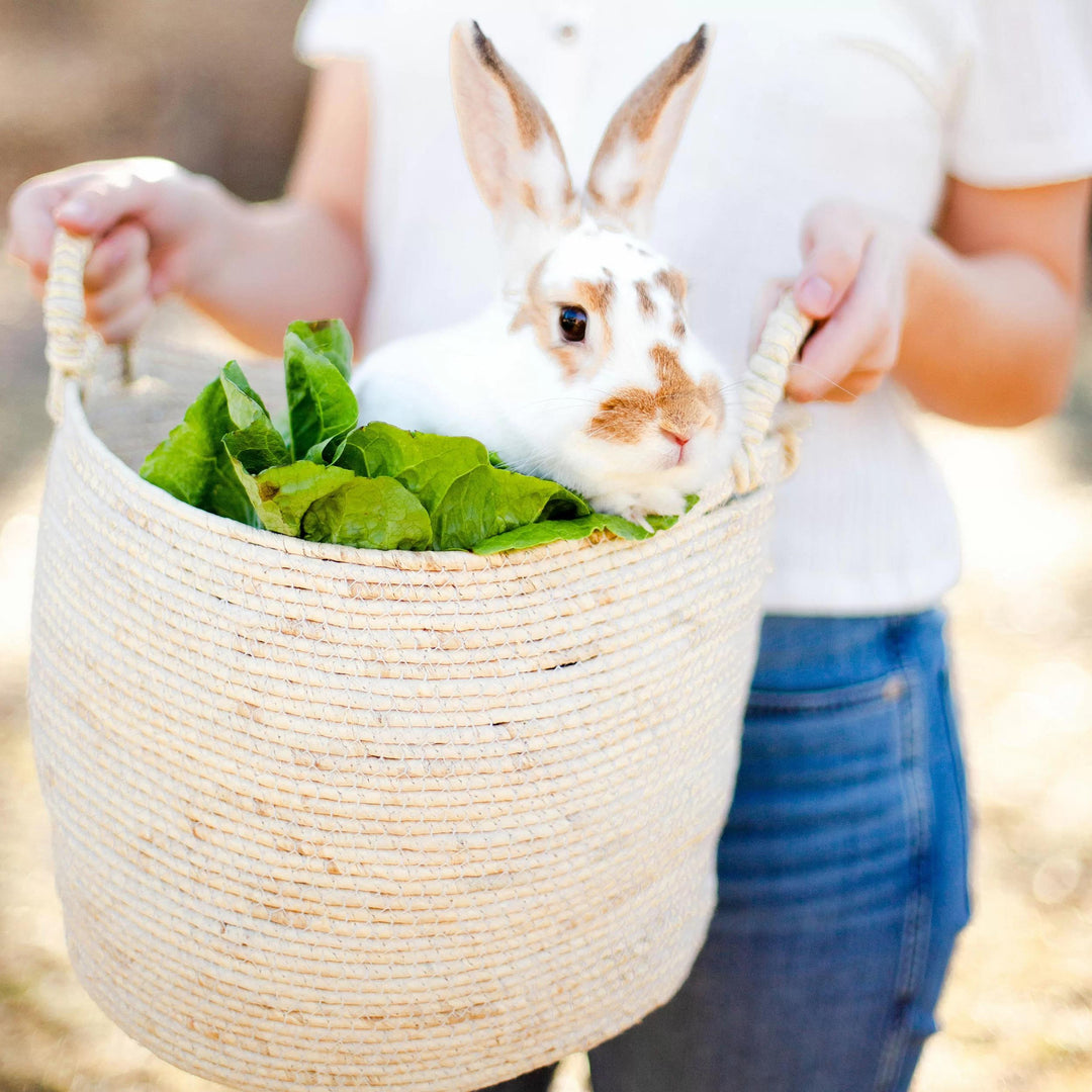 Berke Wicker Basket-Large