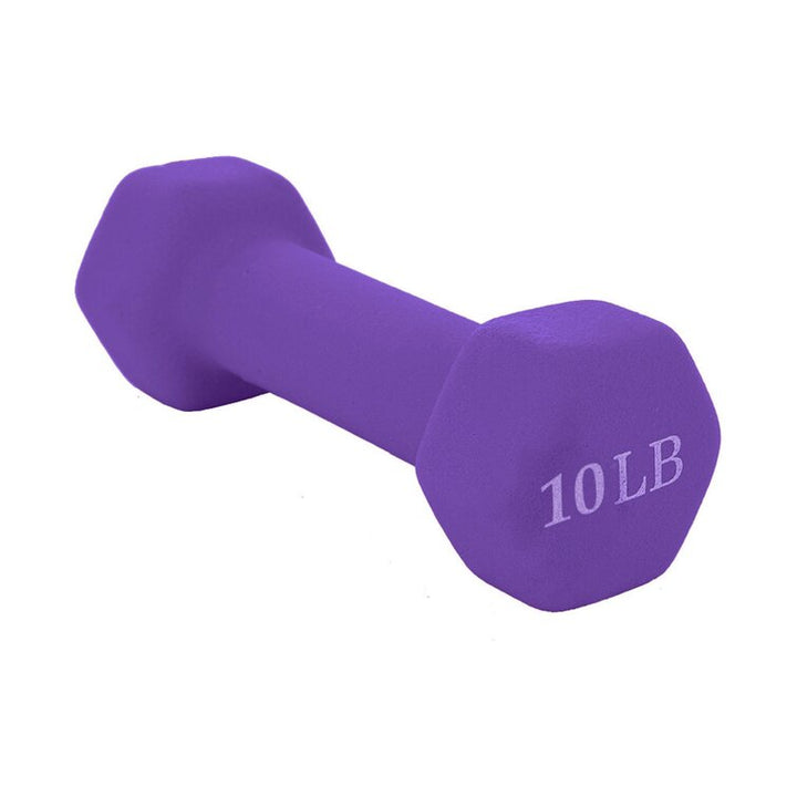 Barbell All Purpose Dumbbells Set Of 2