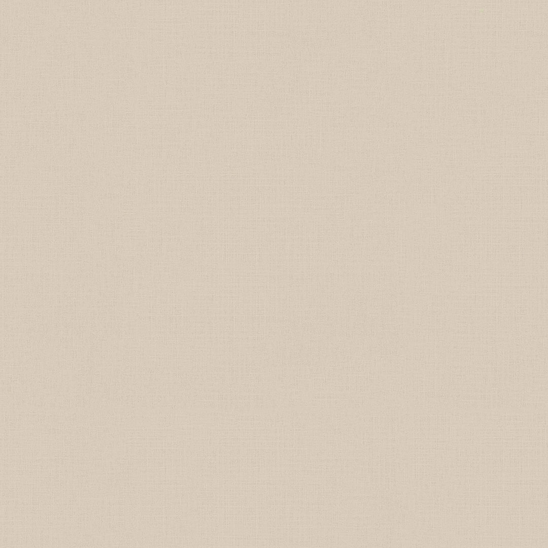 Upholstered Daybed With Storage Armrests