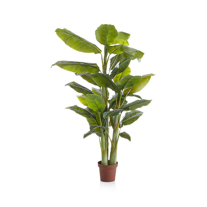 Faux Banana Tree