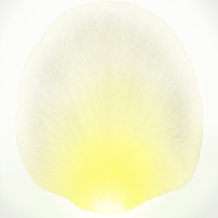 White Real Touch Rose Arrangement In Round Glass Vase