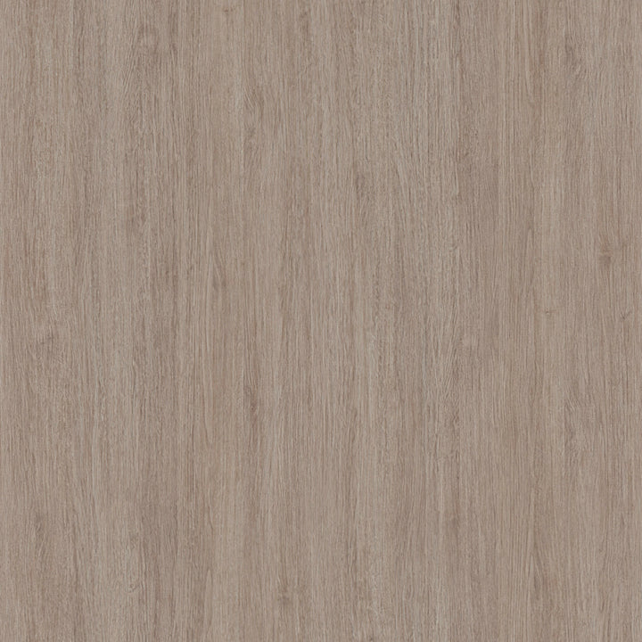 Arlo Beveled Wall Mirror