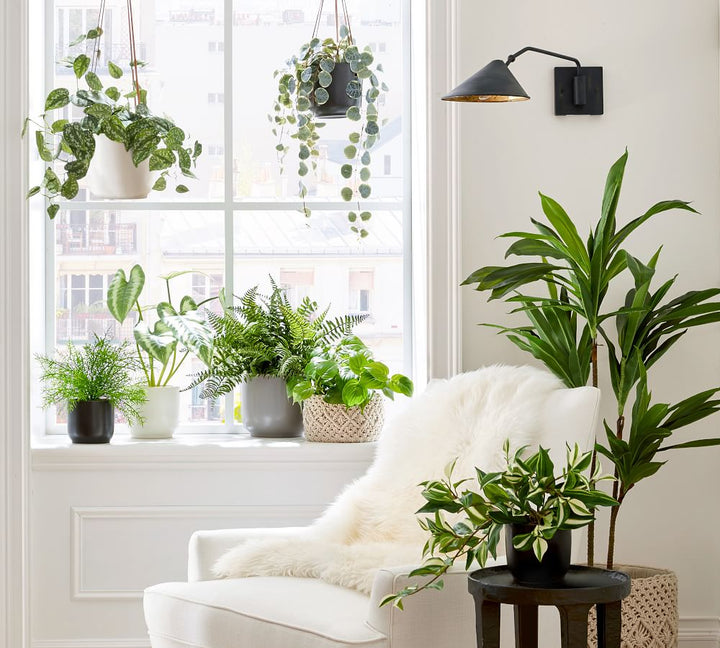 Faux Potted Boston Fern