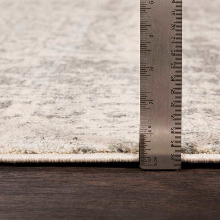 Hillsby Oriental Area Rug-10'x14'