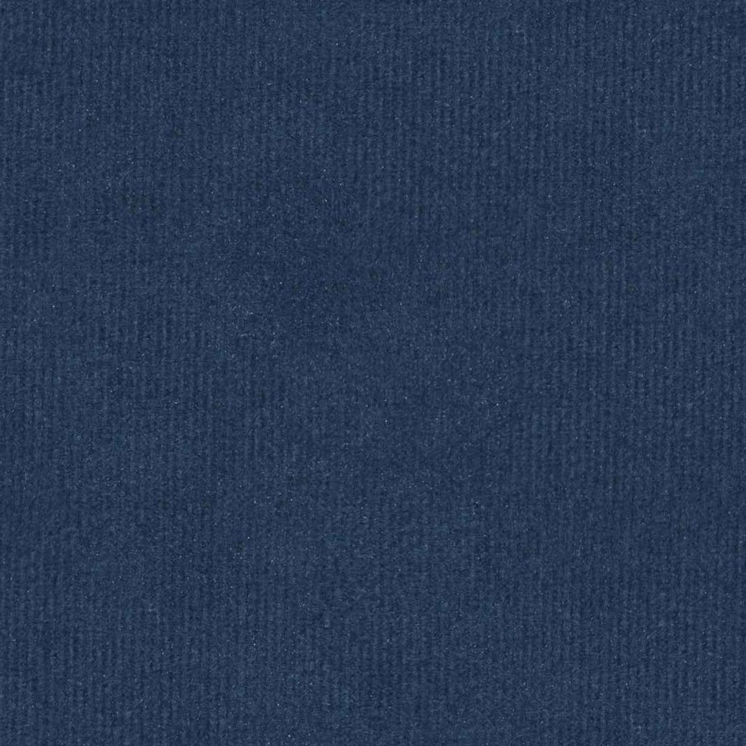 Yeudiel Velvet Upholstered Trundle Bed-Twin