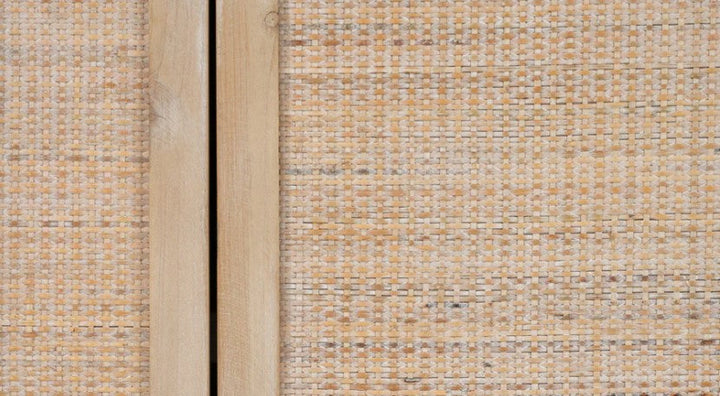 Reed 2 Door Accent Cabinet