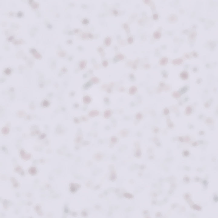 Marble Brass Round Cheese Board