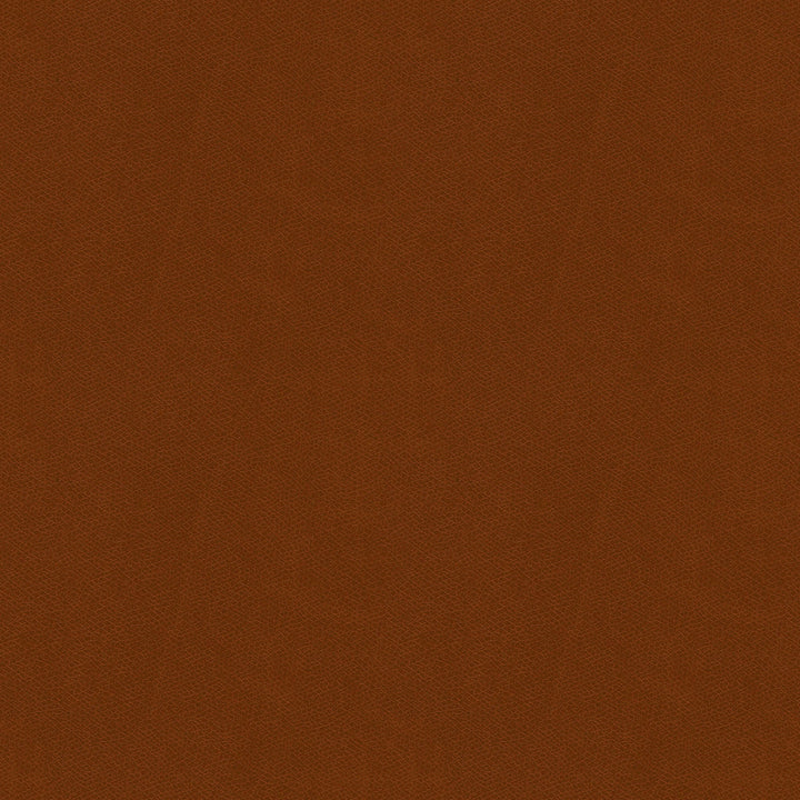 Linco Decorative Square Pillow Cover no Insert