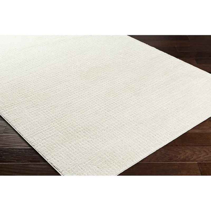Arny Solid Color Rug-7'10x10'