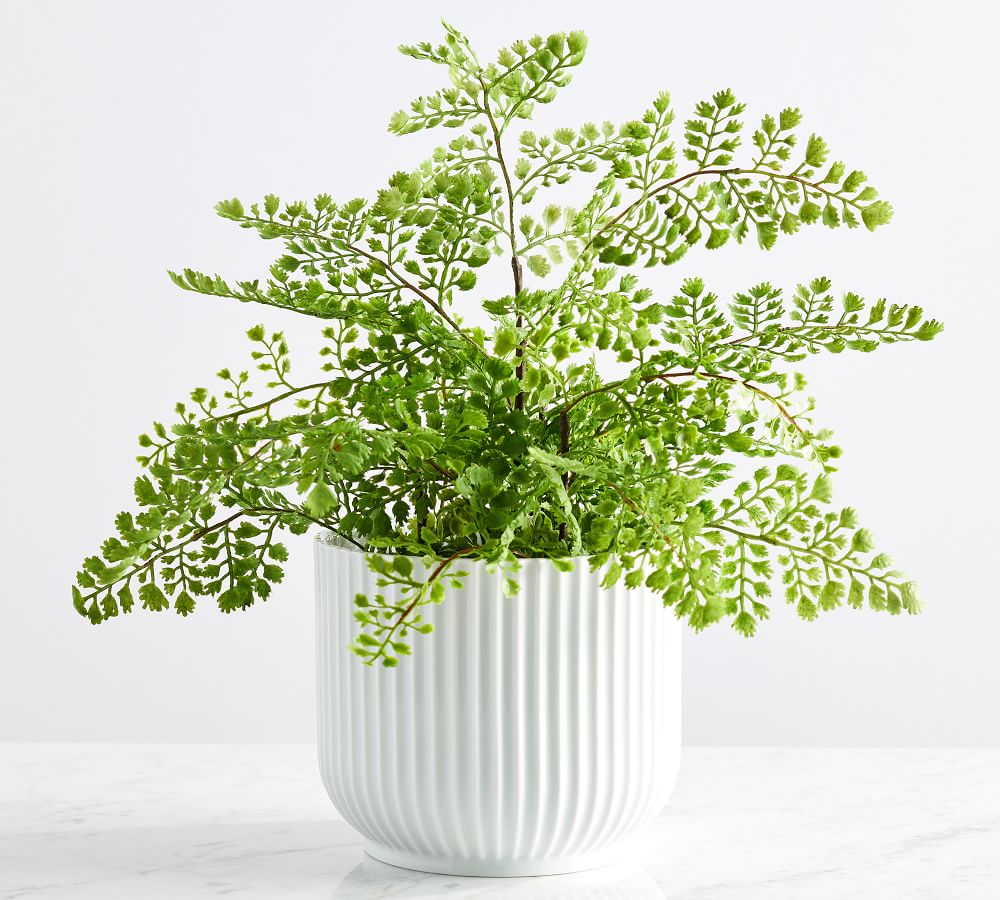 Faux Potted Maidenhair Fern